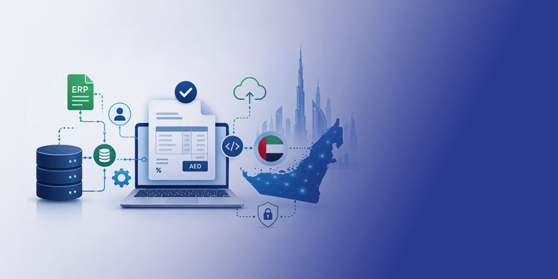 PINT AE data mapping UAE - A Complete Guide
