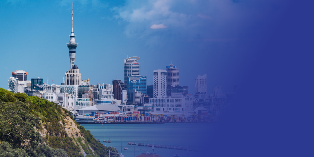 New Zealand E-invoicing