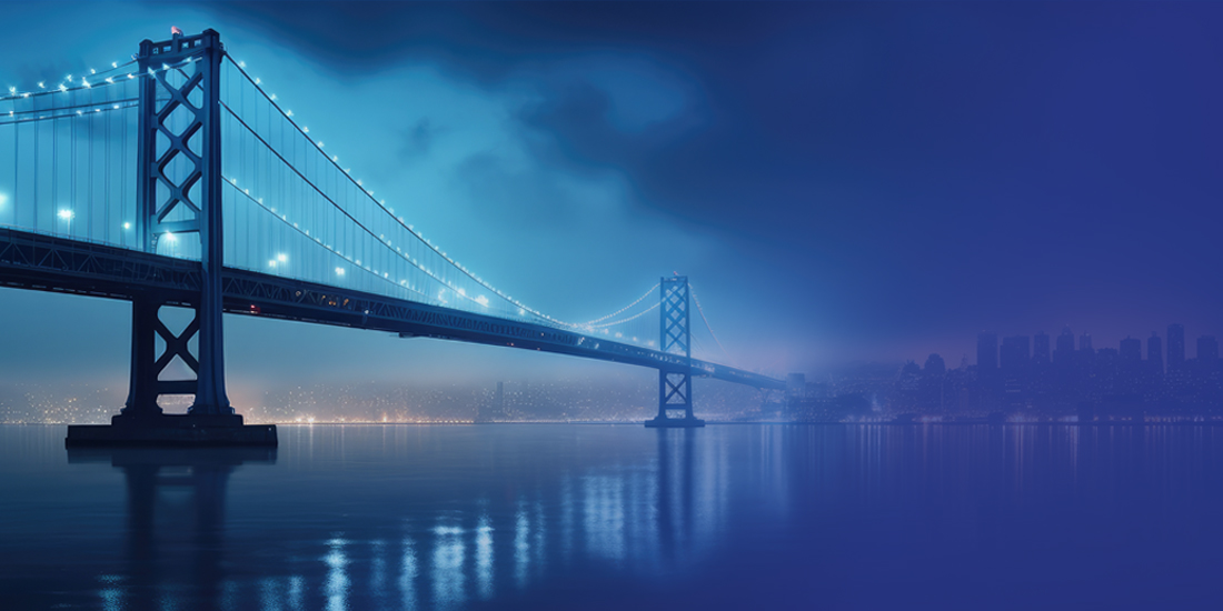 cross border e-invoicing