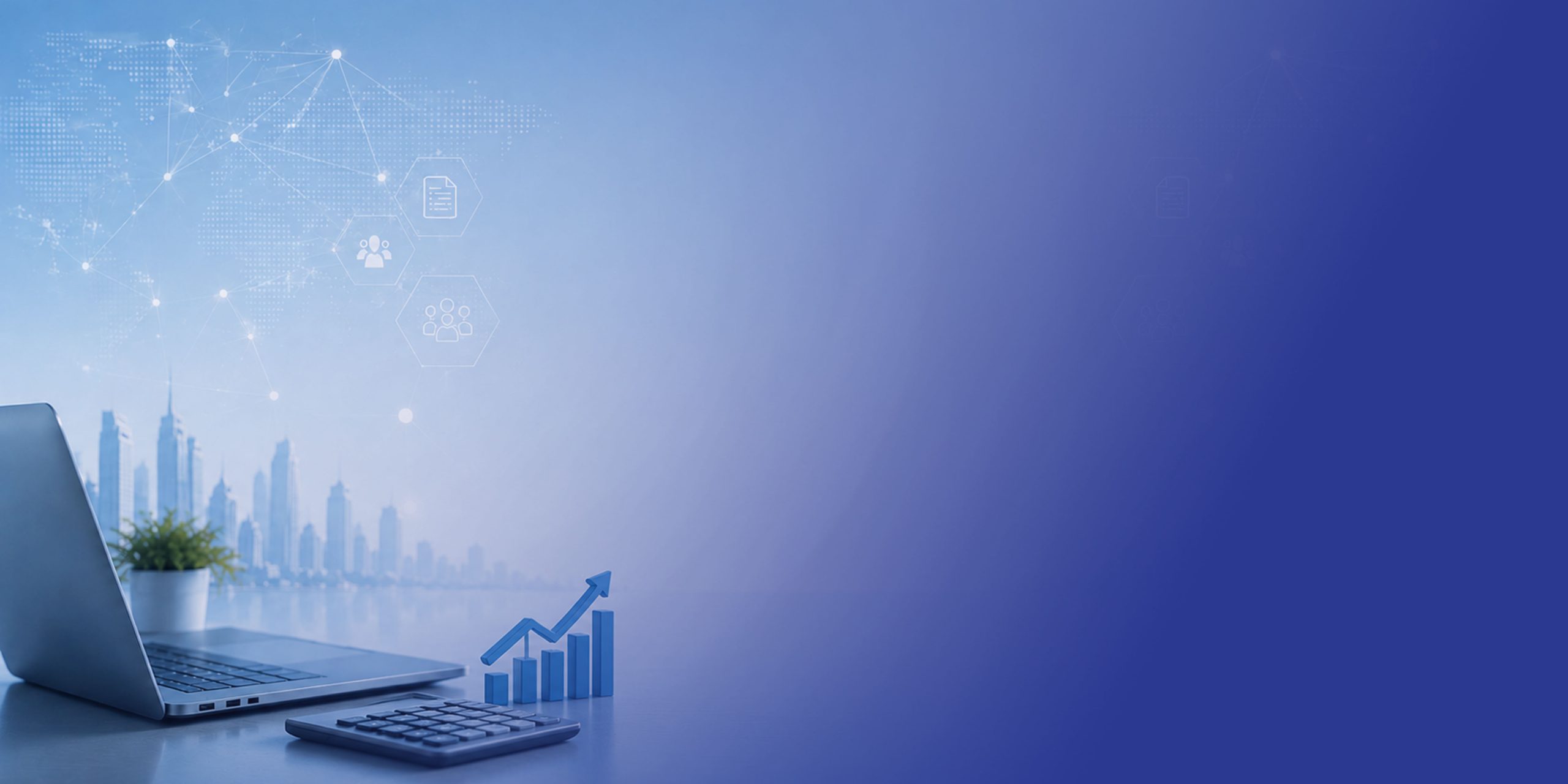 VAT Data Accuracy
