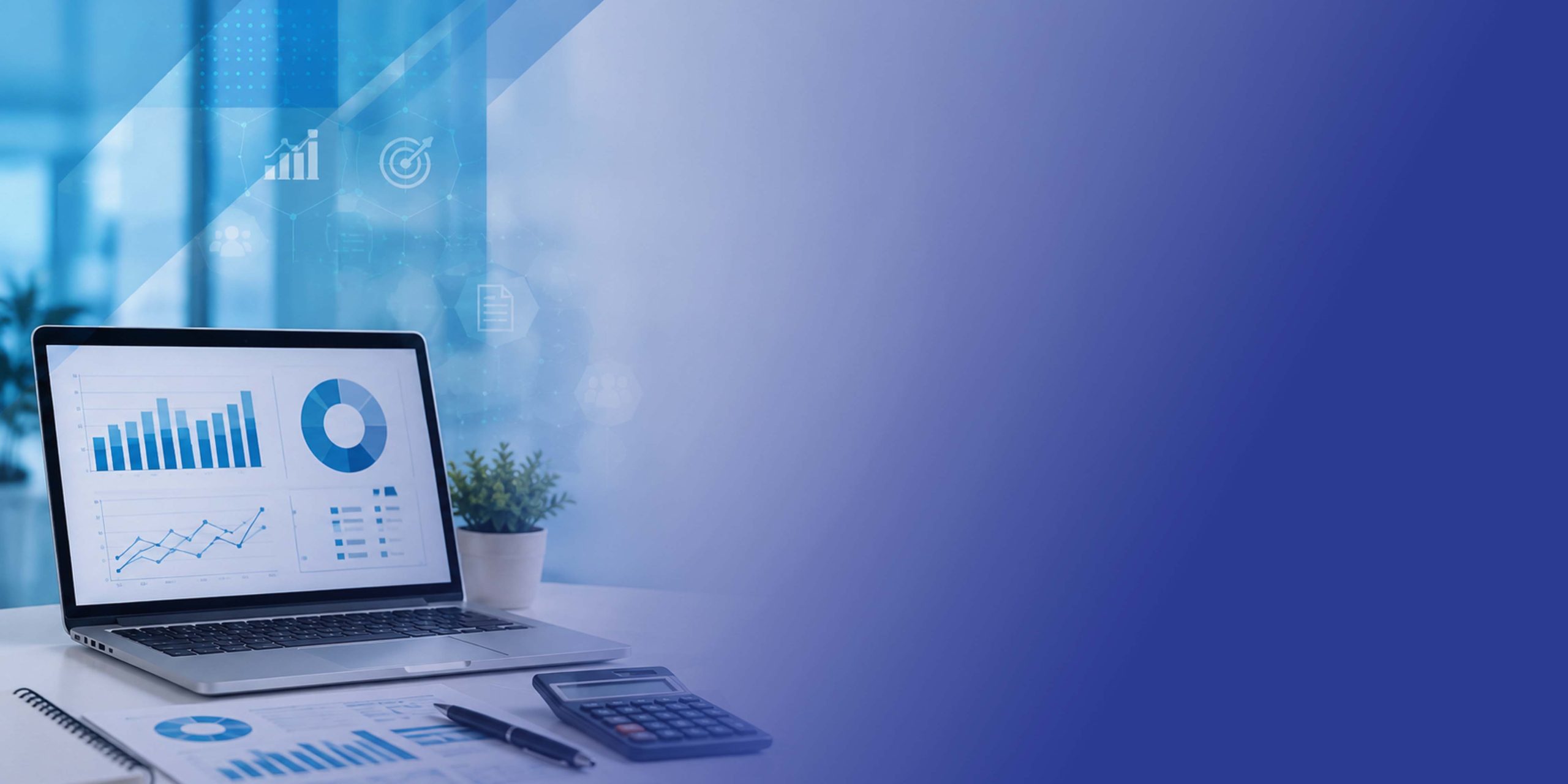 uae e-invoicing gap analysis